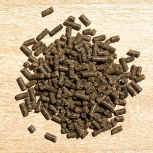 St. Hippolyt Hesta plus Eisen – Bild 2