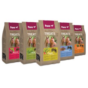Pavo Healthy Treats Leinsamen – Bild 3