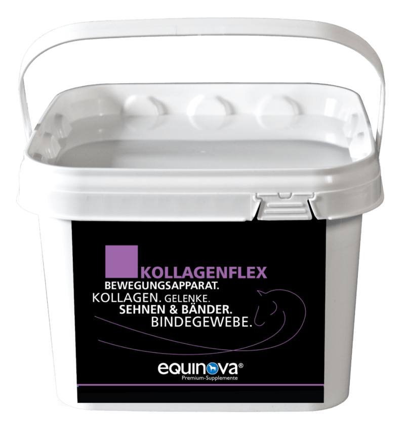 equinova Kollagenflex