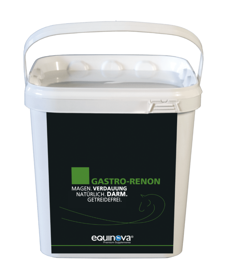 equinova Gastro Renon